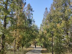 -元大都城垣遗址公园