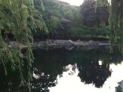 -白马涧龙池景区