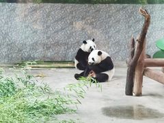 -西安秦岭野生动物园