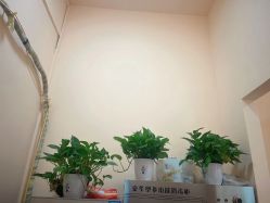 -围美辣妈·减肥塑形连锁
