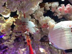 -三月居酒屋(青年大街店)