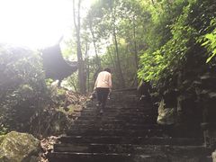 -石台牯牛降景区
