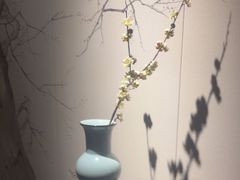 -臻品足道(后湖店)