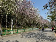 -火炉山森林公园