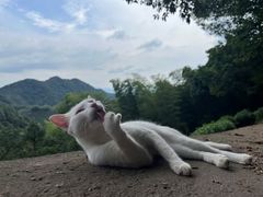 -西湖风景区十里琅珰-五云山