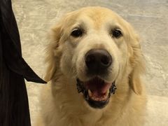 -博特宠物医院24h犬猫全科.骨科·异宠