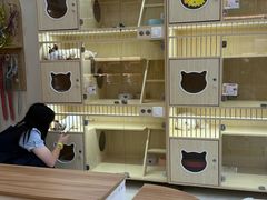 -莘程宠物医院(金山店)