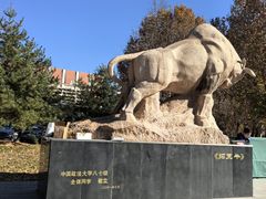 -中国政法大学(昌平校区)
