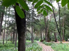-黑龙江省森林植物园