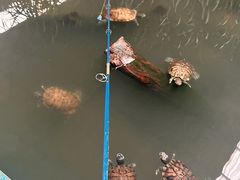 -广州长隆飞鸟乐园