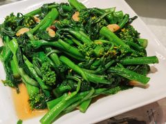 有机菜心-朱仔记食府(江南大道店)