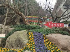 -秀丽东方