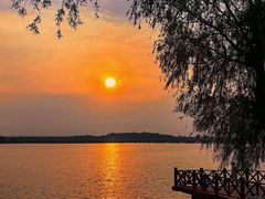 -丁香湖公园