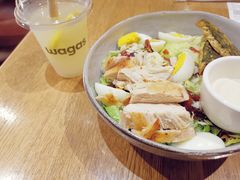 鸡肉凯撒沙拉-Wagas沃歌斯(太古汇店)