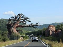 -塞罕坝国家级自然保护区