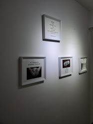 -童年时光专业儿童摄影(龙首店)