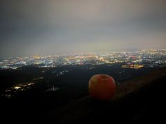 -紫金山山顶公园