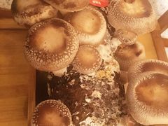 -大头椰·椰子鸡火锅(南宁万象城店)