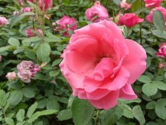 -莲池书院博物馆