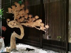-江仙雅居(中航国际店)