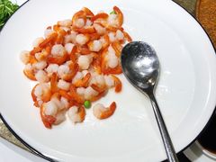 -鹿园 MOOSE(长宁店)