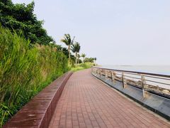 -野狸岛