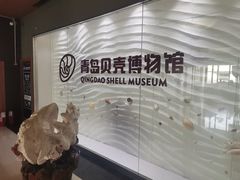 -青岛贝壳博物馆