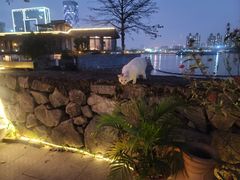 -喜洲吧·江畔老船厂·庭院餐厅(喜临院店)