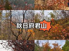 -府君山公园