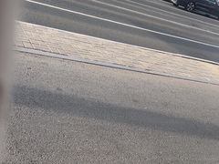 -菜园老太太烧烤(东岗路店)