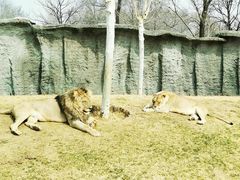 -北京野生动物园