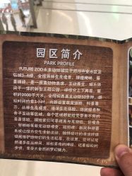 -未来动物城主题公园(正弘城店)
