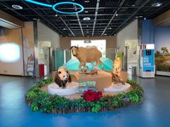 -陕西自然博物馆