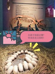 -恐龙探索乐园(磁器口店)