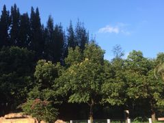 -天安数码城会所游泳馆