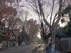 -颐和路民国时期公馆风貌区