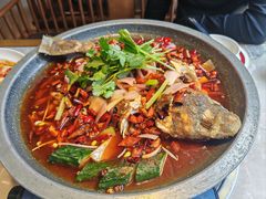-新渝城·川菜·火锅(区庄店)
