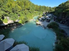 -吴淞炮台湾湿地森林公园烧烤区