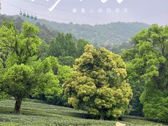 -北高峰