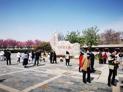 -古柏渡飞黄旅游区