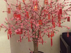 -苏州金科大酒店