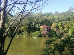 -云溪植物园