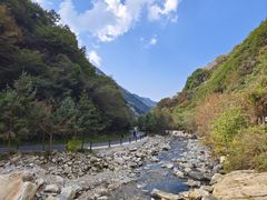 -少华山国家森林公园