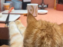 -元气寿司(金光华店)