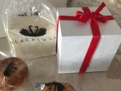 -BLACKSWAN黑天鹅(环球店)