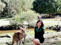 -可伦宾野生动物保护区