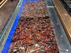 -鼎香缘海鲜自助火锅烤肉(锦辉购物广场店)