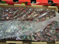 -西郊国际农产品交易中心