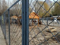 -长白岛森林公园