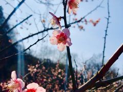 -幕燕滨江·长江观音景区